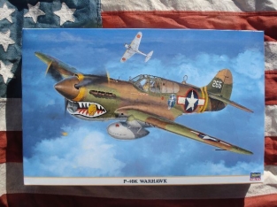 P-40K WARHAWK